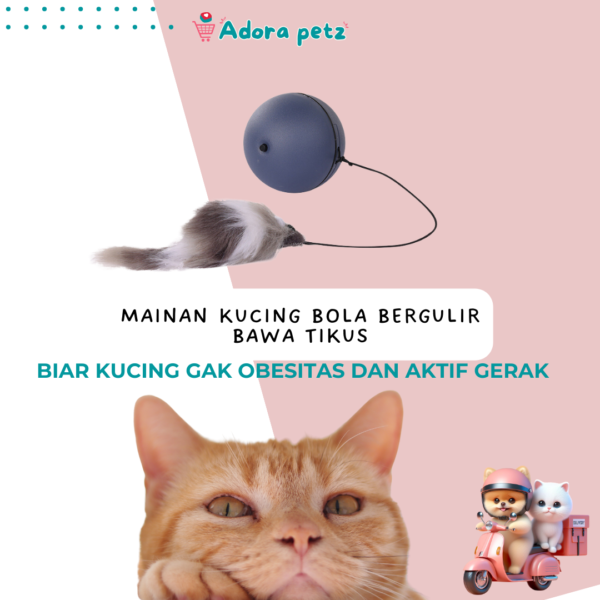 Mainan Kucing Smart Auto Cat Ball Tarik Tikus - Image 3