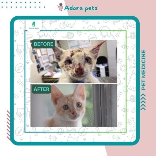 Obat Luka Bubuk Kucing Anjing Kelinci OLA - Image 4