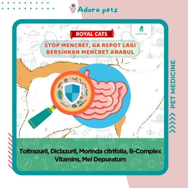 Obat Diare Royal Care untuk Kucing Anjing Kelinci - Image 3