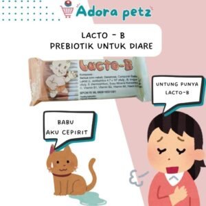 Lacto B prebiotik untuk kucing