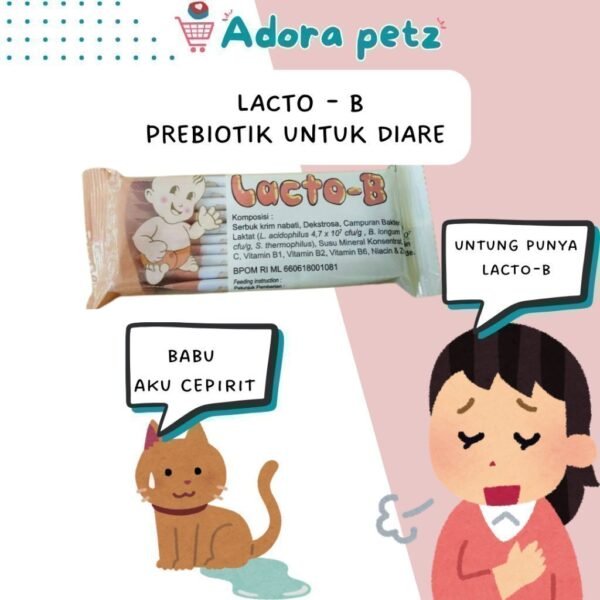 Lacto B prebiotik untuk kucing
