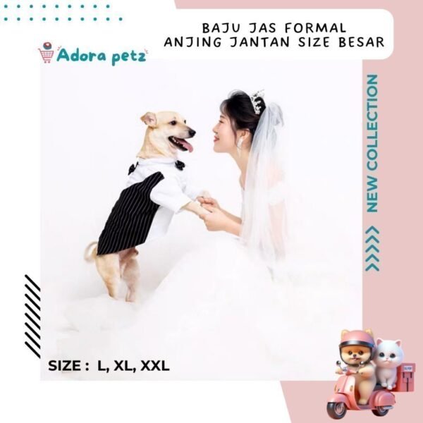 Baju jas kucing anjing kecil jantan - Image 3