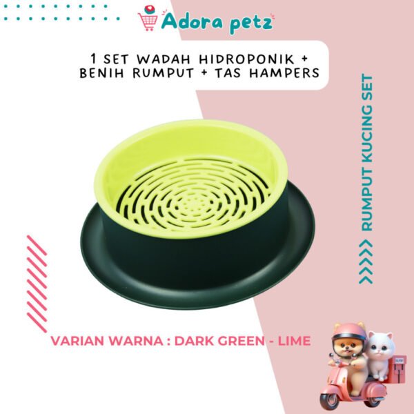 Rumput kucing set, benih rumput kucing - Image 3