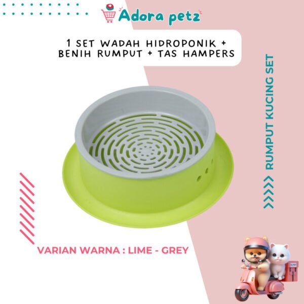 Rumput kucing set, benih rumput kucing - Image 4