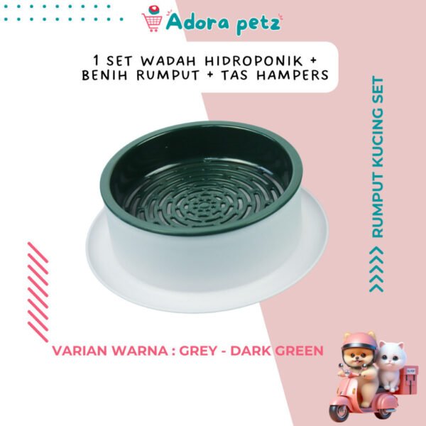 Rumput kucing set, benih rumput kucing - Image 5