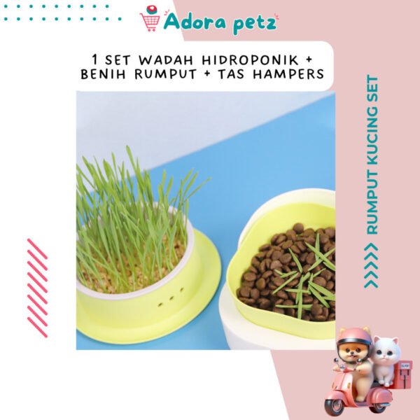 Rumput kucing set, benih rumput kucing - Image 2