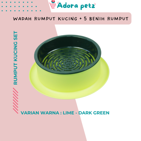 Rumput kucing set, benih rumput kucing - Image 6