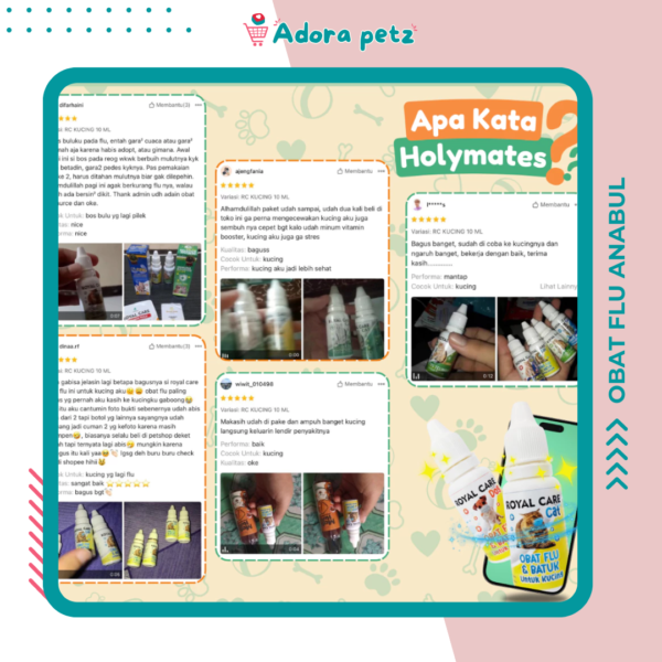 Obat flu batuk kucing anjing kemasan ekonomis royal care 10 ml - Image 5