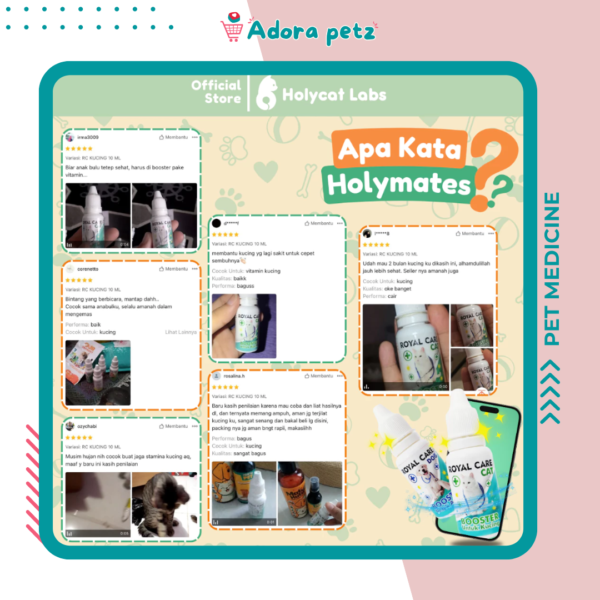 Vitamin Imun Booster Kucing Anjing - Image 5