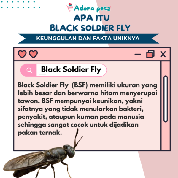 Power Bug Vitamin Kucing Tinggi Protein 50 Gram - Image 2