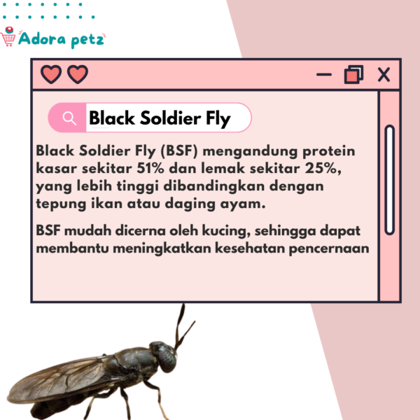 Power Bug Vitamin Kucing Tinggi Protein 50 Gram - Image 3