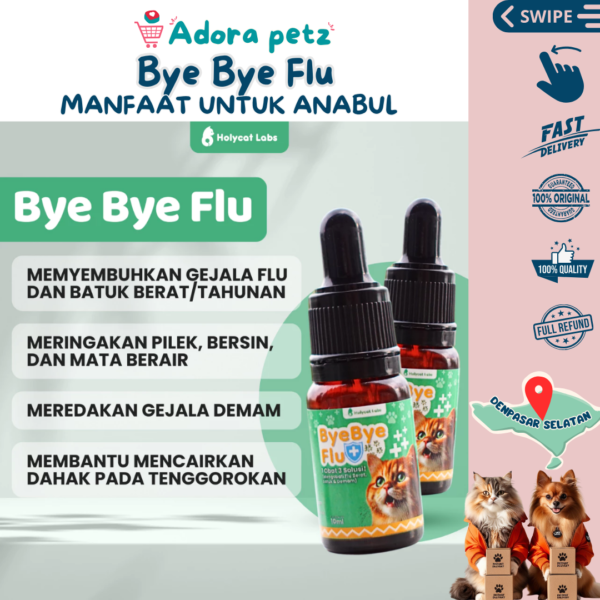 Bye Bye Flu - Image 3