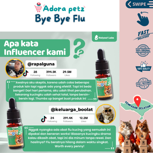 Bye Bye Flu - Image 7