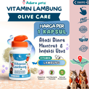 Vitamin Lambung Olive Care Harga Per Pcs