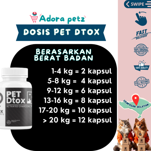 Pet Dtox Obat Detox Keracunan, Diare, Kembung pada Anjing Kucing - Image 3