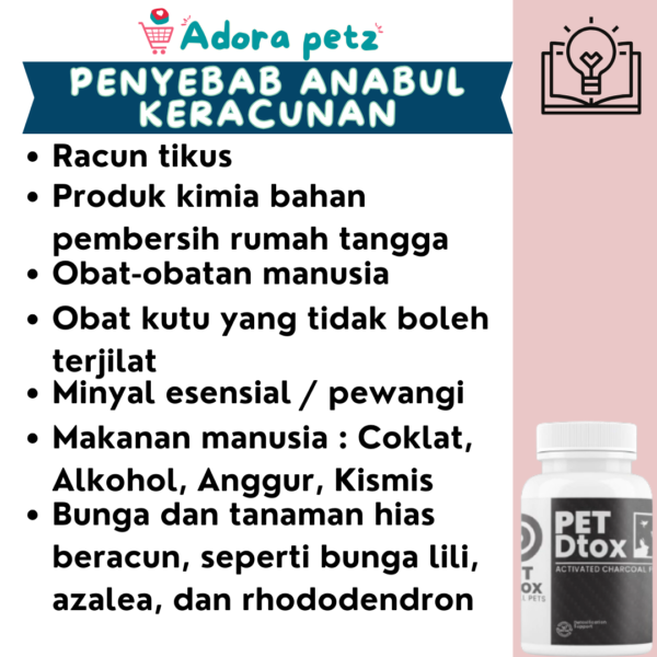 Pet Dtox Obat Detox Keracunan, Diare, Kembung pada Anjing Kucing - Image 5