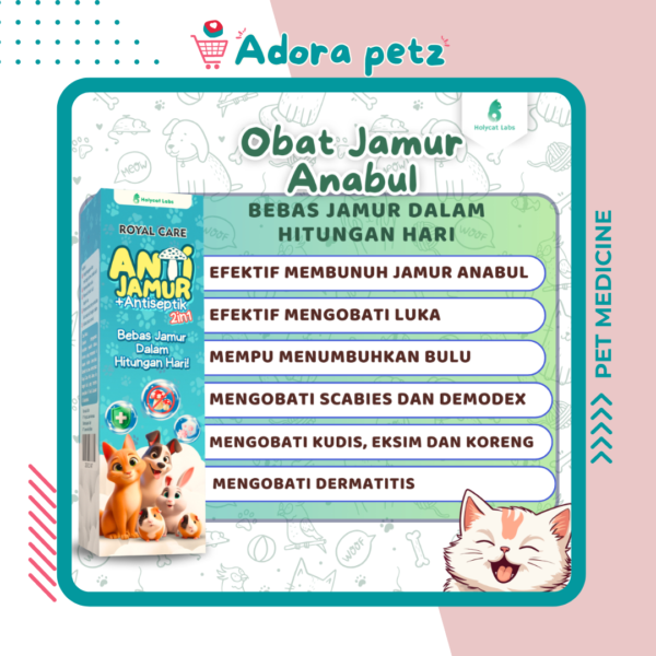 Obat Jamur + Antiseptic 2 in 1 Spray Royal Care - Image 2