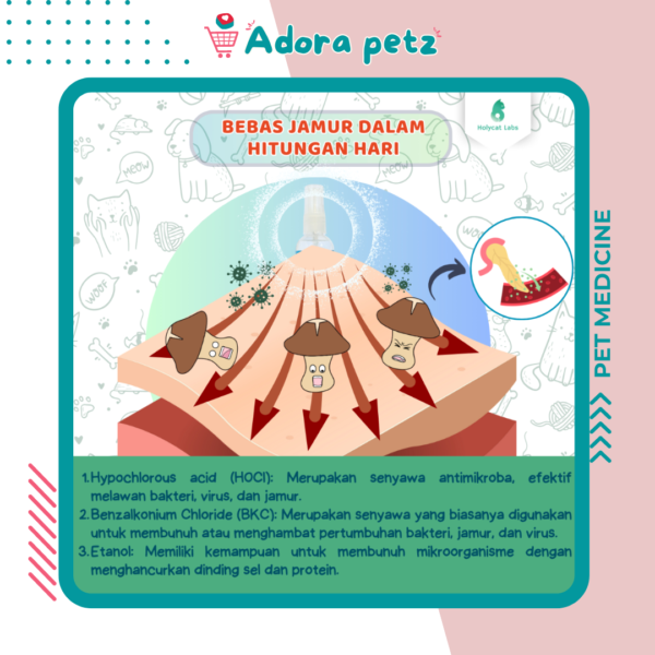 Obat Jamur + Antiseptic 2 in 1 Spray Royal Care - Image 3