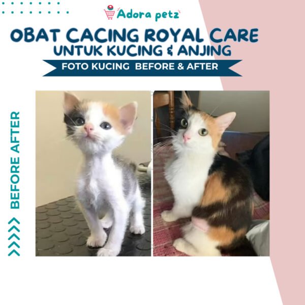 Obat Cacing Royal Care 10 ml Untuk Kucing & Anjing - Image 6