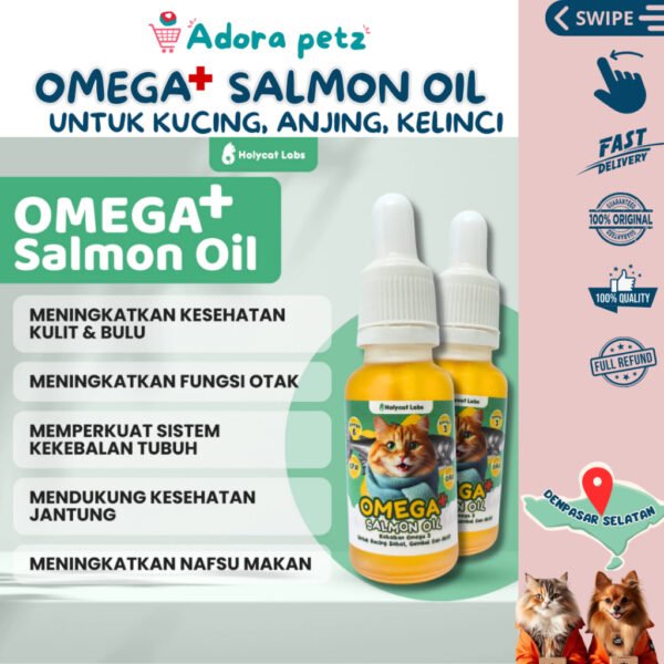 Vitamin agar bulu kucing tidak rontok