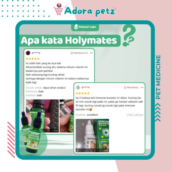 Vitamin Imun Booster Kucing Anjing - Image 6