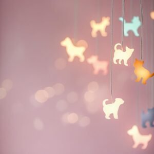 Toys & Training