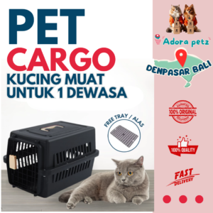 Pet cargo kucing anabul kecil ukuran 30 x 30 x 45 cm