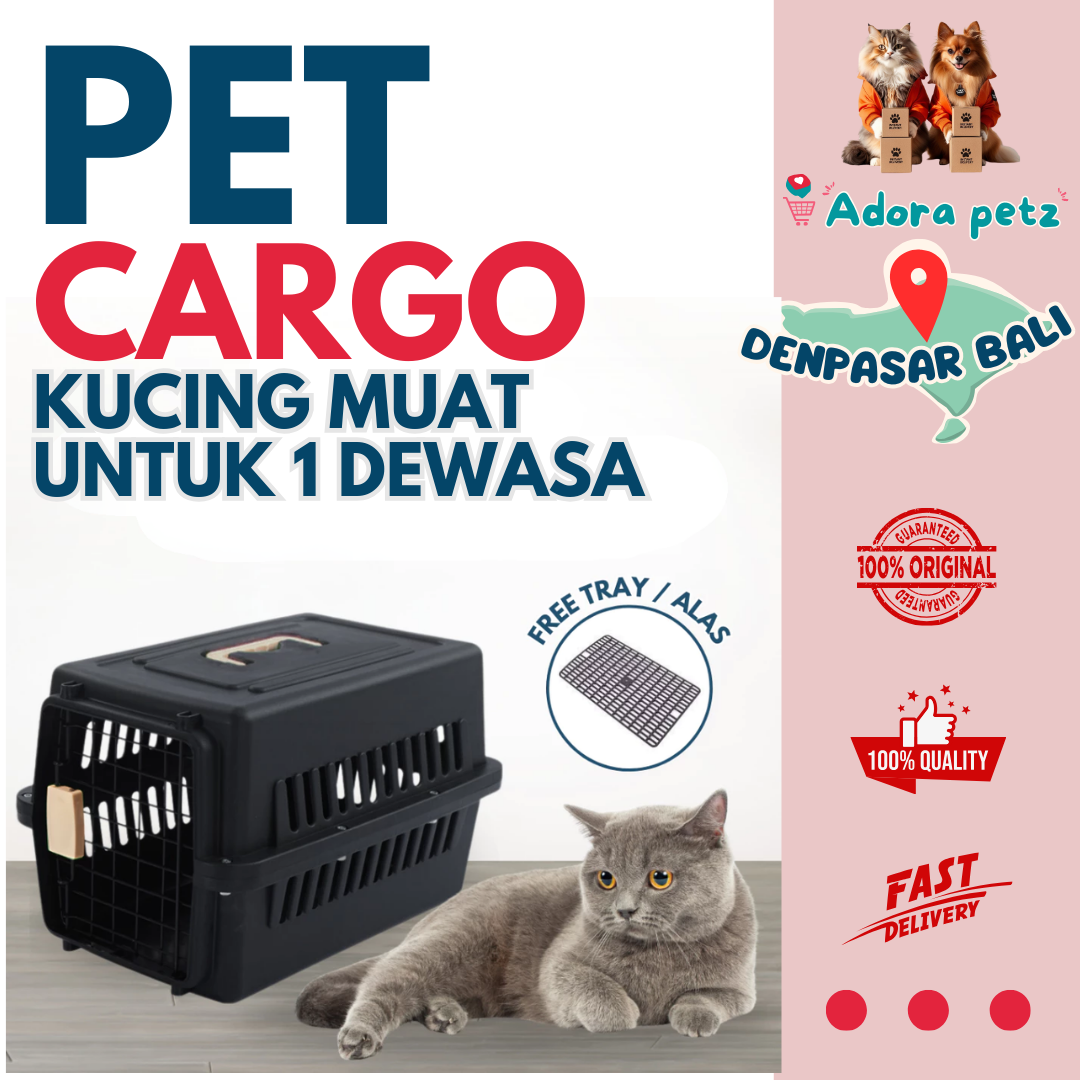 Pet cargo kucing anabul kecil ukuran 30 x 30 x 45 cm