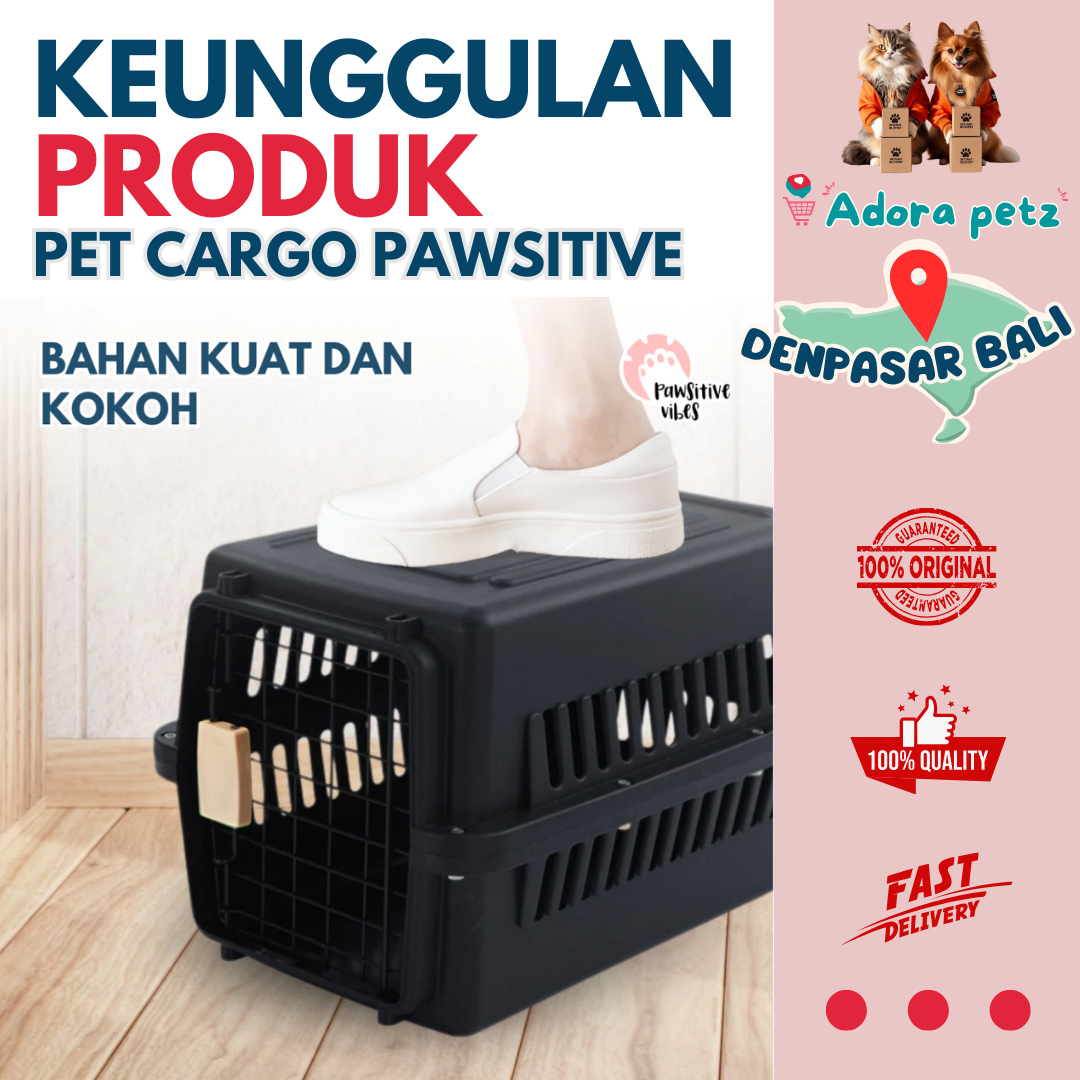 Pet cargo kucing anabul kecil ukuran 30 x 30 x 45 cm - Image 3