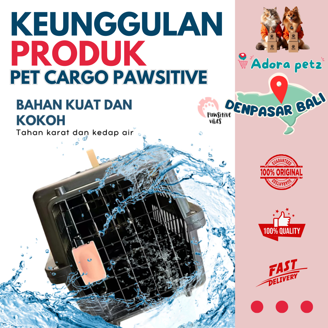 Pet cargo kucing anabul kecil ukuran 30 x 30 x 45 cm - Image 4