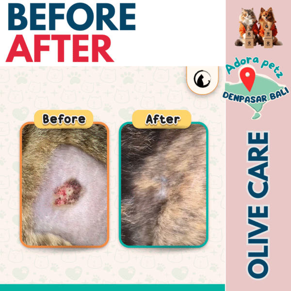 Krim Luka Olive Care Untuk Anabul Kucing Anjing Kelinci - Image 4