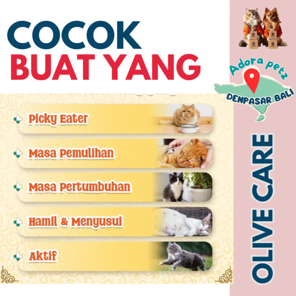 Native Plus Gel, Suplemen bentuk pasta odol untuk meningkatkan nafsu makan dan vitalitas - Image 5
