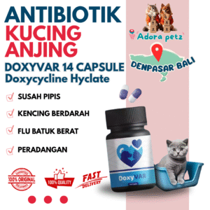 Doxyvar Antibiotik Flu Pilek Susah Pipis isi 14 kapsul