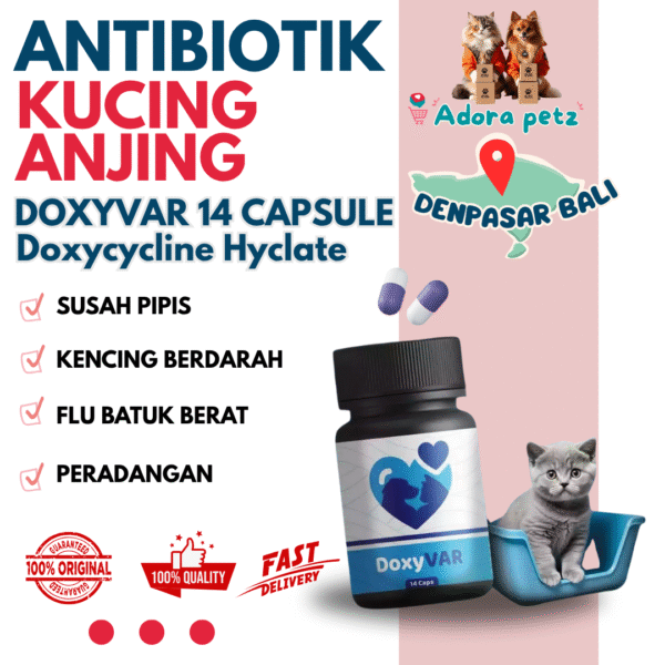 Doxyvar Antibiotik Flu Pilek Susah Pipis isi 14 kapsul