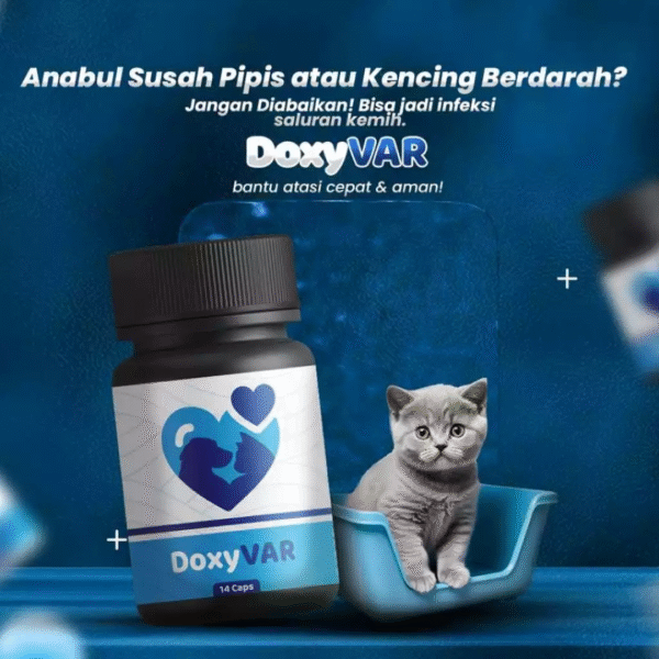 Doxyvar Antibiotik Flu Pilek Susah Pipis isi 14 kapsul - Image 2