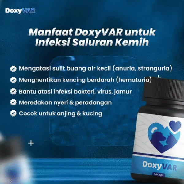 Doxyvar Antibiotik Flu Pilek Susah Pipis isi 14 kapsul - Image 3