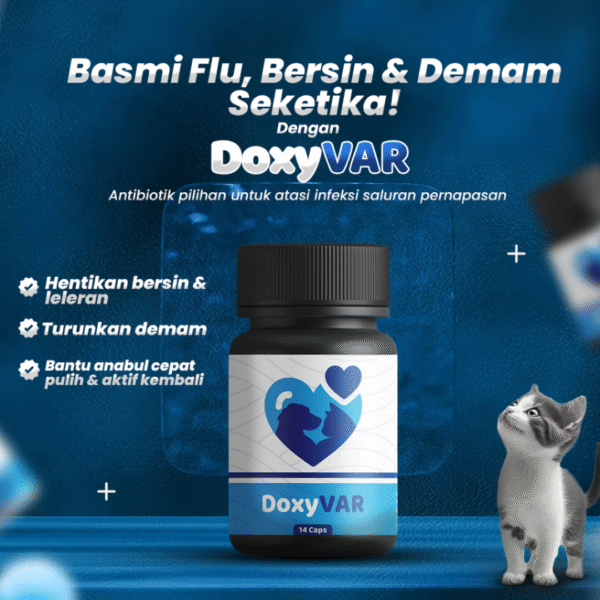 Doxyvar Antibiotik Flu Pilek Susah Pipis isi 14 kapsul - Image 4