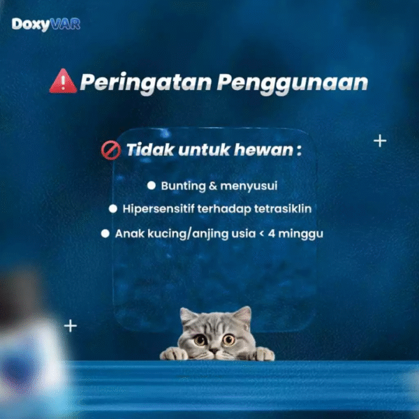 Doxyvar Antibiotik Flu Pilek Susah Pipis isi 14 kapsul - Image 7