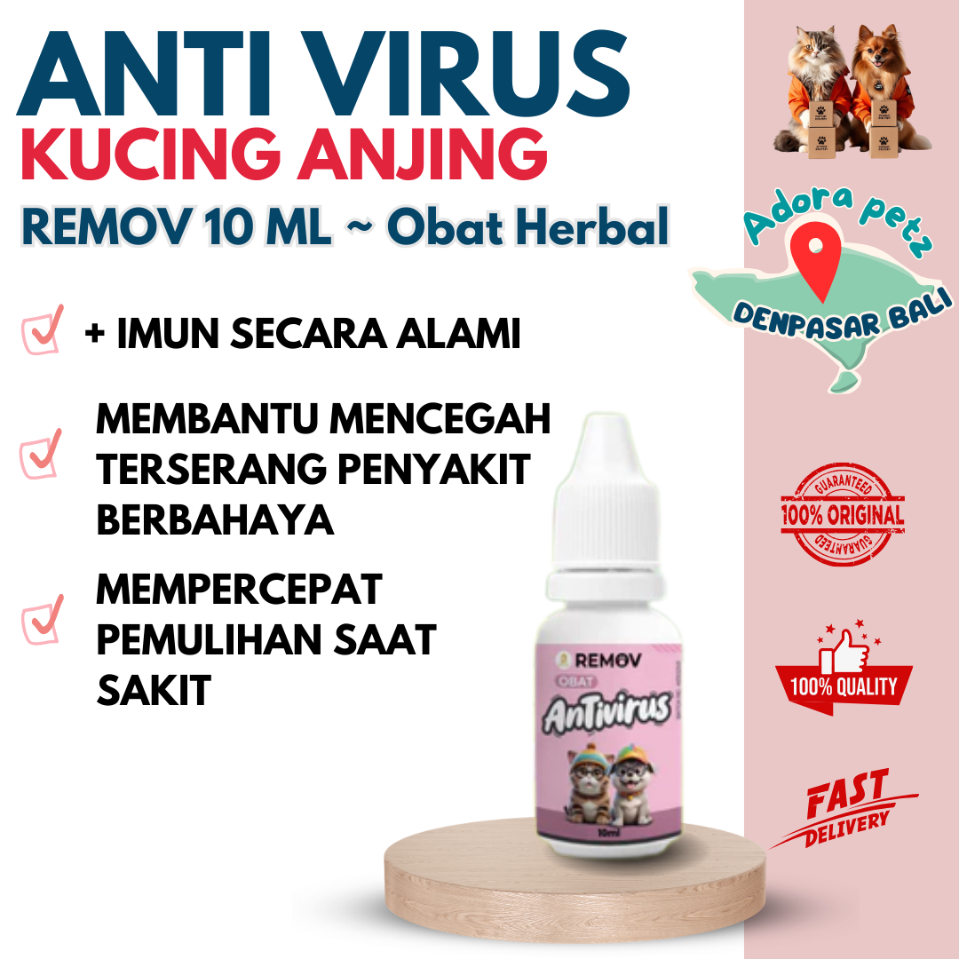 Vitamin Antivirus Alami Kucing & Anjing Penunjang Imunitas Harian