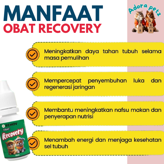 Suplemen Recovery Kucing & Anjing Remov 10ml Mempercepat Penyembuhan & Energi - Image 3