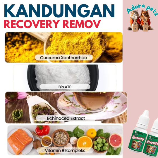 Suplemen Recovery Kucing & Anjing Remov 10ml Mempercepat Penyembuhan & Energi - Image 4