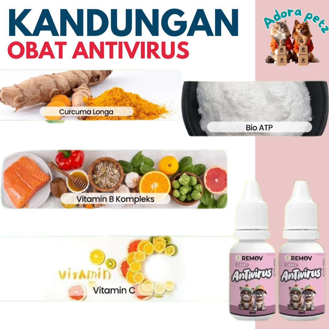Vitamin Antivirus Alami Kucing & Anjing Penunjang Imunitas Harian - Image 4