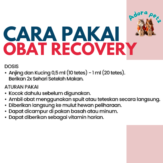 Suplemen Recovery Kucing & Anjing Remov 10ml Mempercepat Penyembuhan & Energi - Image 5