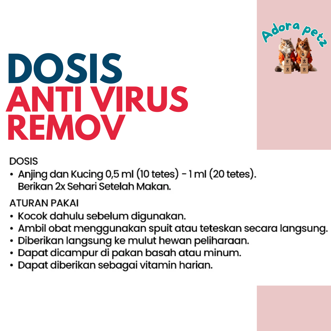 Vitamin Antivirus Alami Kucing & Anjing Penunjang Imunitas Harian - Image 5