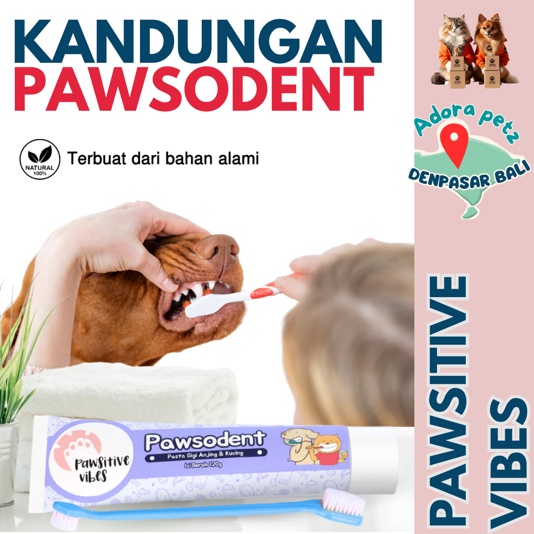 Sikat Gigi Silicon 3 in 1~ Pawsodent Pasta Gigi Anabul Dijual Terpisah - Image 6