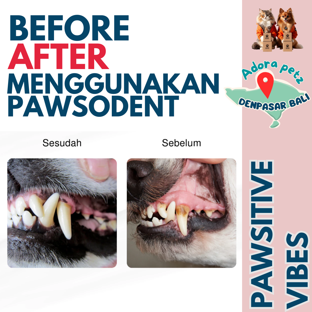 Sikat Gigi Silicon 3 in 1~ Pawsodent Pasta Gigi Anabul Dijual Terpisah - Image 7