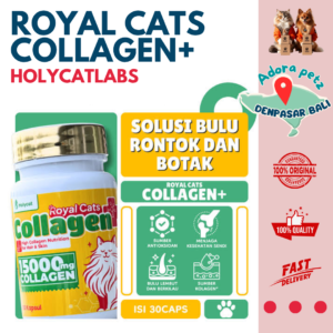 Holycatlabs Collagen vitamin kucing bulu lebat penumbuh bulu rontok Collagen+
